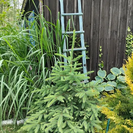 24mousehouse - Urokliwy W Sercu Borow Tucholskich בית נופש