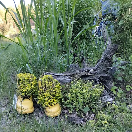 24mousehouse - Urokliwy W Sercu Borow Tucholskich * Czersk Pomorski