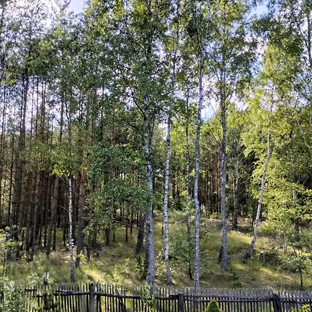 24mousehouse - Urokliwy W Sercu Borow Tucholskich بيت للعطل Czersk Pomorski