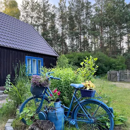 Hébergement de vacances 24mousehouse - Urokliwy W Sercu Borow Tucholskich *