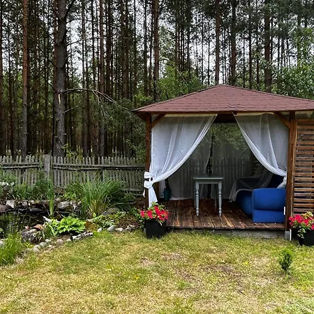 Hébergement de vacances 24mousehouse - Urokliwy W Sercu Borow Tucholskich *