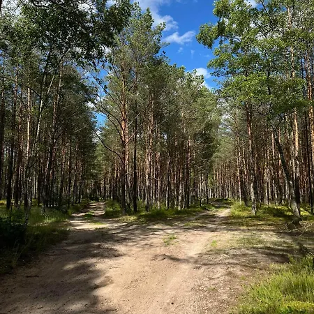 24mousehouse - Urokliwy W Sercu Borow Tucholskich * Czersk Pomorski