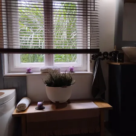 24mousehouse - Urokliwy W Sercu Borow Tucholskich * Czersk Pomorski