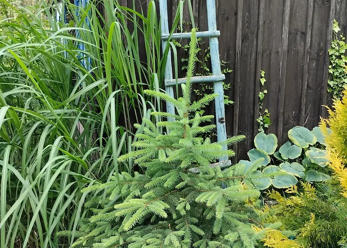 24mousehouse - Urokliwy W Sercu Borow Tucholskich 펜션