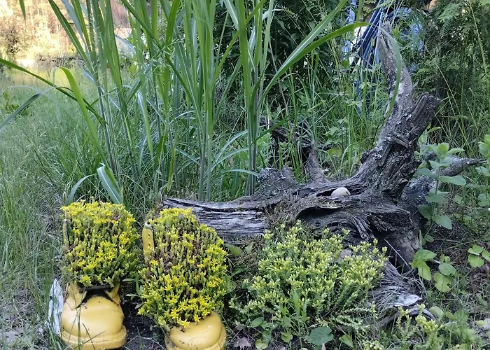 24mousehouse - Urokliwy W Sercu Borow Tucholskich * Czersk Pomorski