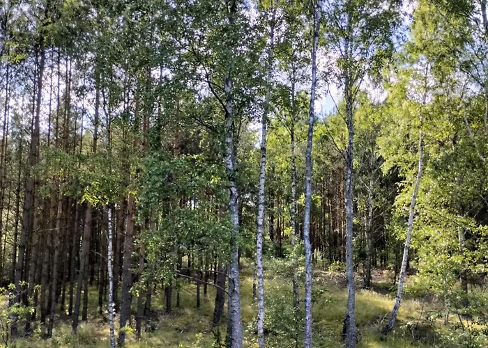 24mousehouse - Urokliwy W Sercu Borow Tucholskich בית נופש Czersk Pomorski