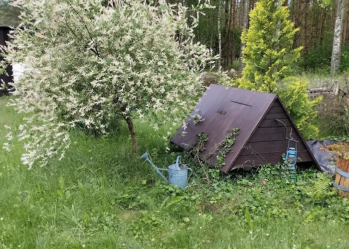 24mousehouse - Urokliwy W Sercu Borow Tucholskich 펜션 *