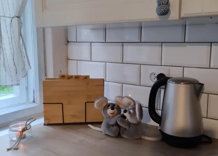 24mousehouse - Urokliwy W Sercu Borow Tucholskich בית נופש