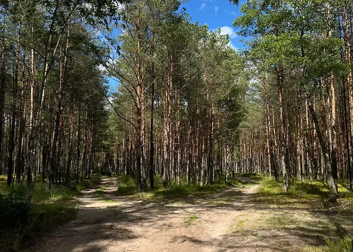 24mousehouse - Urokliwy W Sercu Borow Tucholskich * Czersk Pomorski