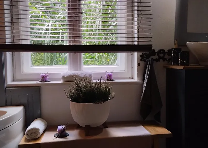 24mousehouse - Urokliwy W Sercu Borow Tucholskich * Czersk Pomorski