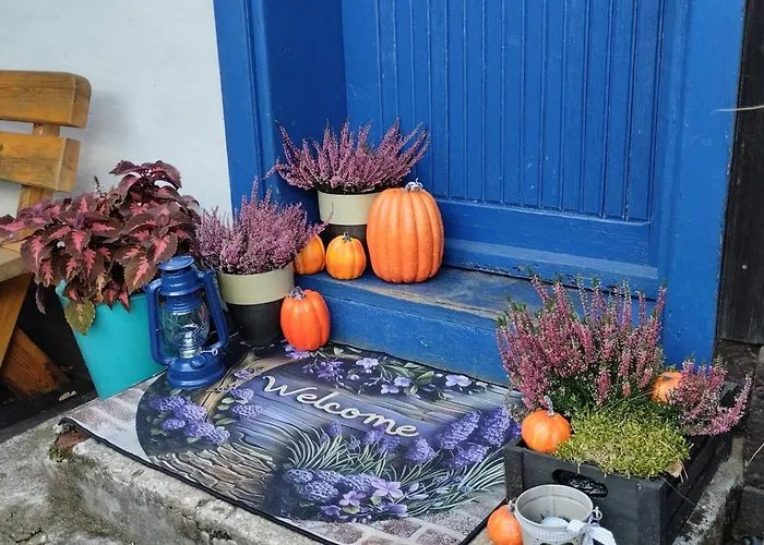 24mousehouse - Urokliwy W Sercu Borow Tucholskich *